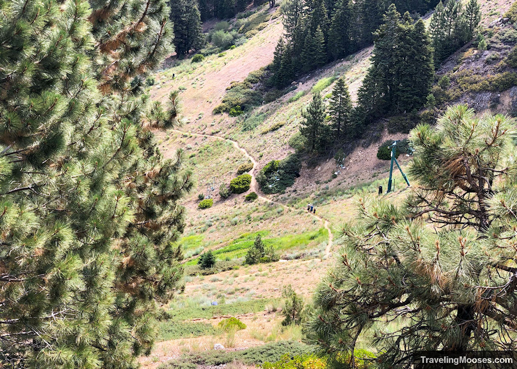 Hikers seen walking on Bobsled hiking trail