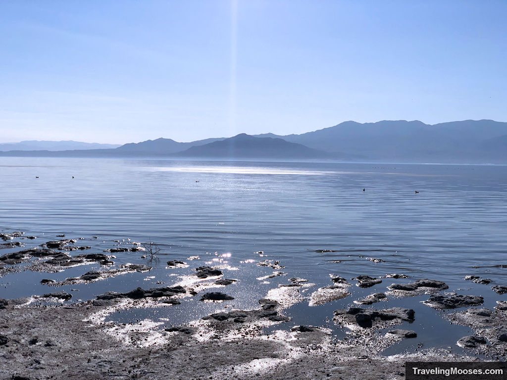 Salton Sea Lake