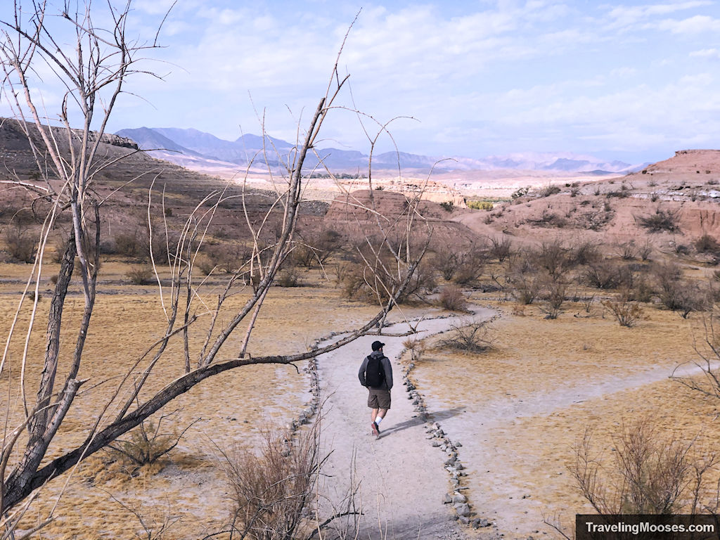Best non gambling things to do in Vegas