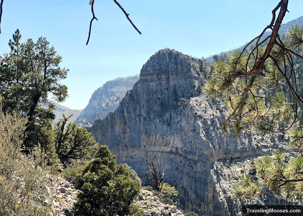 Echo Cliffs along Cathedral Rock Trail