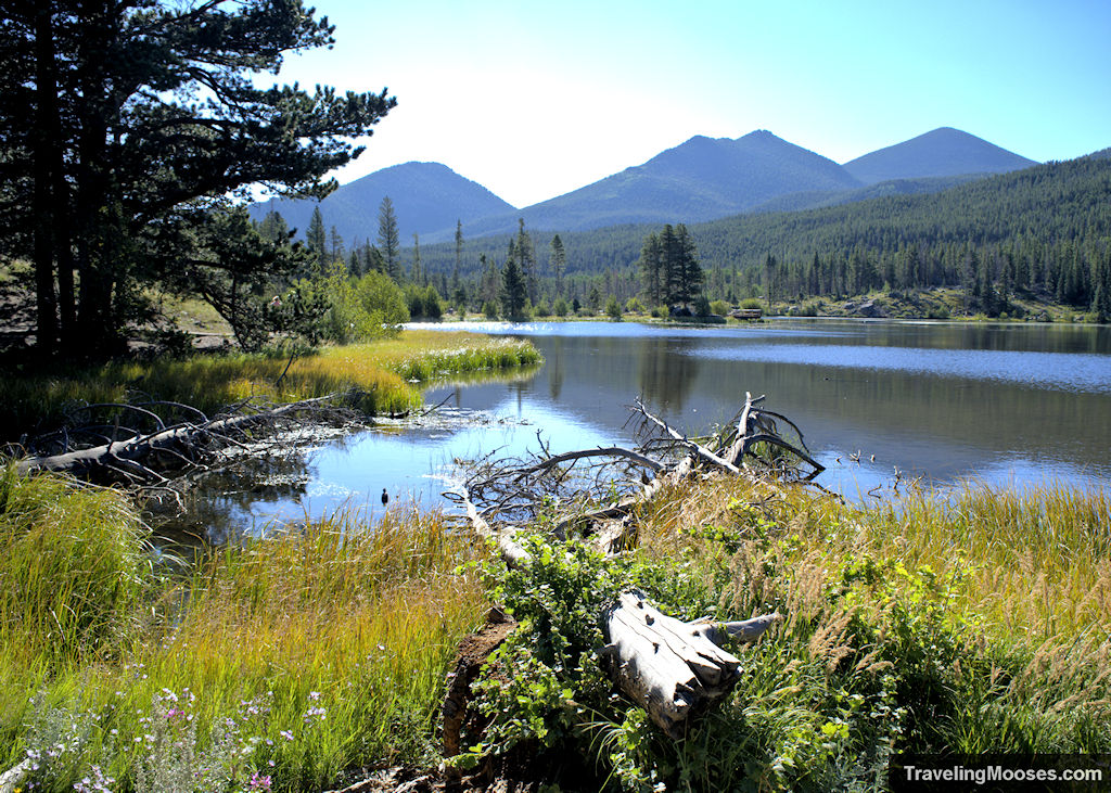 Sprague Lake RMNP