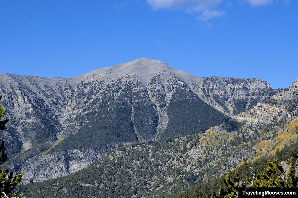 Charleston Peak seen from Fletcher Peak trail