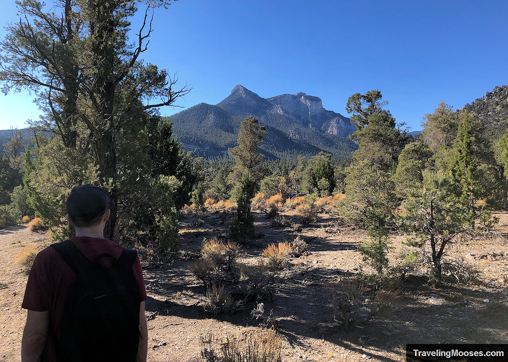Enjoying Sawmill Loop Trail