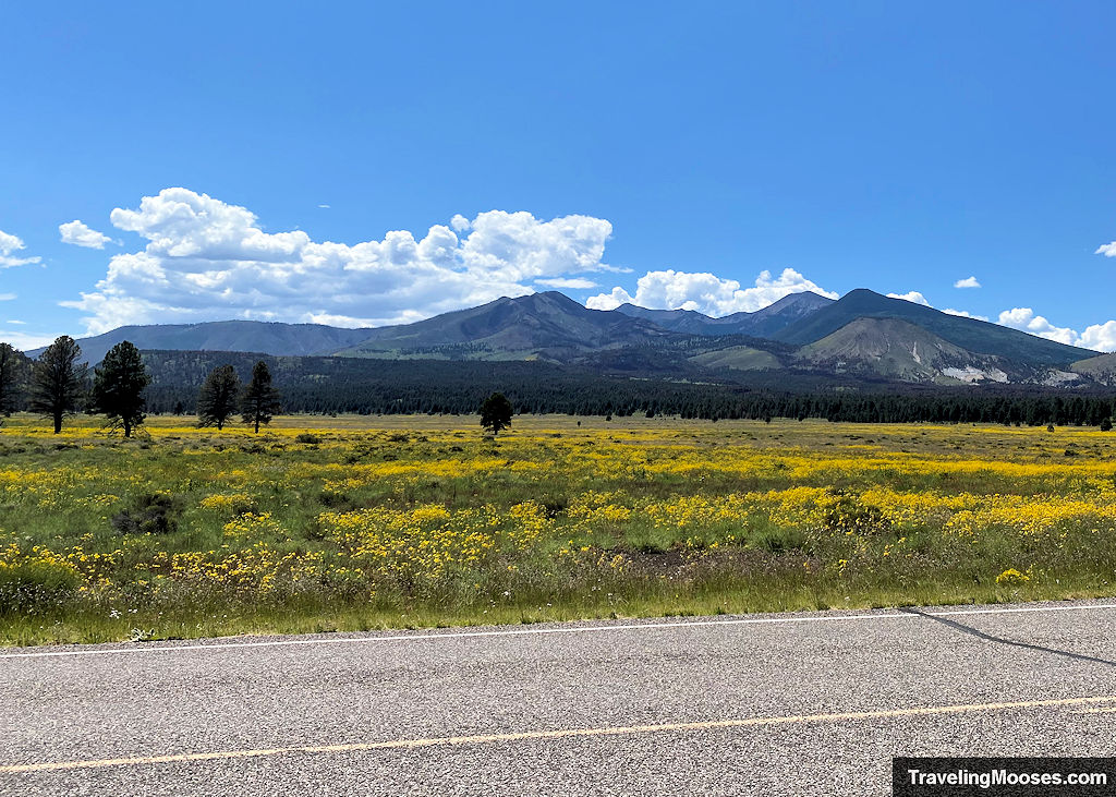 4-day itinerary in Flagstaff, Arizona