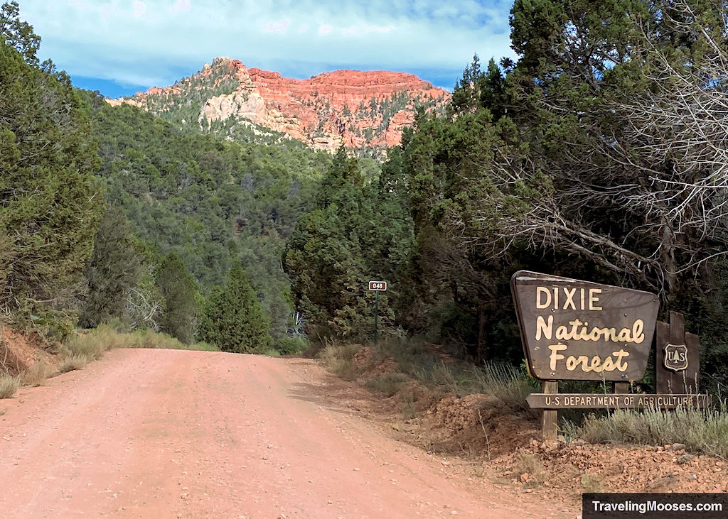 A dirt OHV road entering Dixie National Forest with red rock cliffs rising behind the trees near Brian Head, Utah.